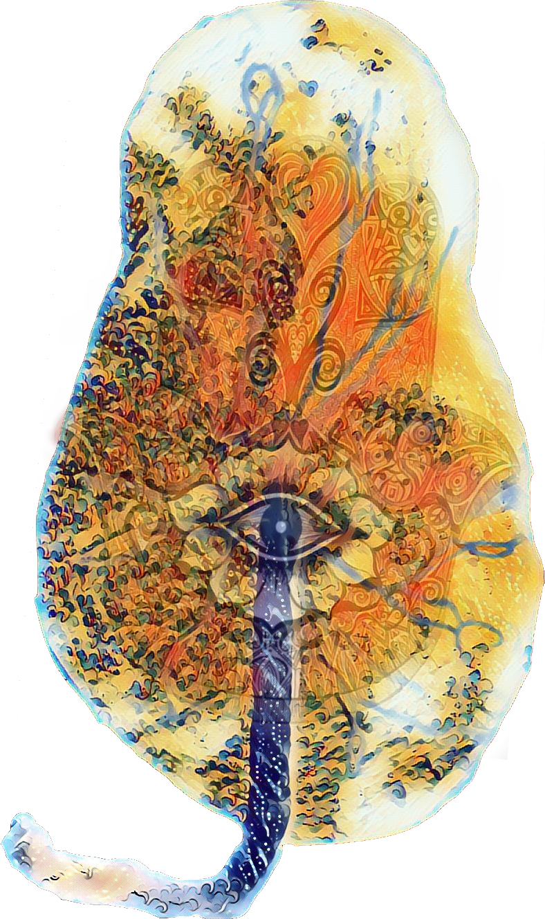 Placenta encapsulation art